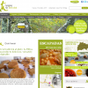 Sdweb - http://www.sdweb.es