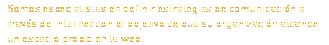 Somos especialistas en definir estrategias de comunicación a través de Internet con el objetivo de que su organización alcance un espacio propio en la web.