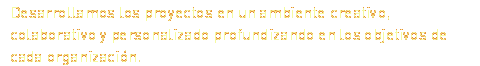 Desarrollamos los proyectos en un ambiente creativo, colaborativo y personalizado profundizando en los objetivos de cada organización.