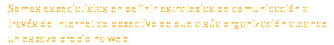 Somos especialistas en definir estratexias de comunicación a través de Internet co obxectivo de que a súa organización alcance un espazo propio na web.