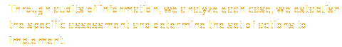 Through audits of information, we analyze each case, we establish the specific assessment and determine the set of actions to implement.